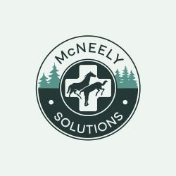 Mcneelysolutions